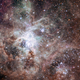 30 Doradus/The Tarantula Nebula (Image: TRAPPIST/E. Jehin/ESO via Wikimedia Commons)